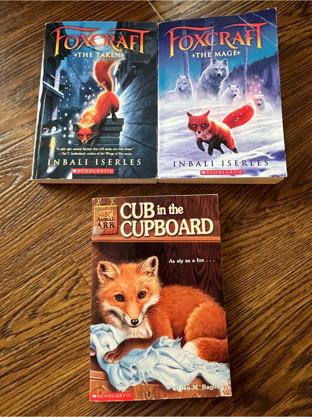 Three children's young adult books foxes Foxcraft series cub in the cupboard